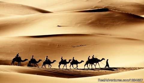 Camel caravan in Erg Chebbi