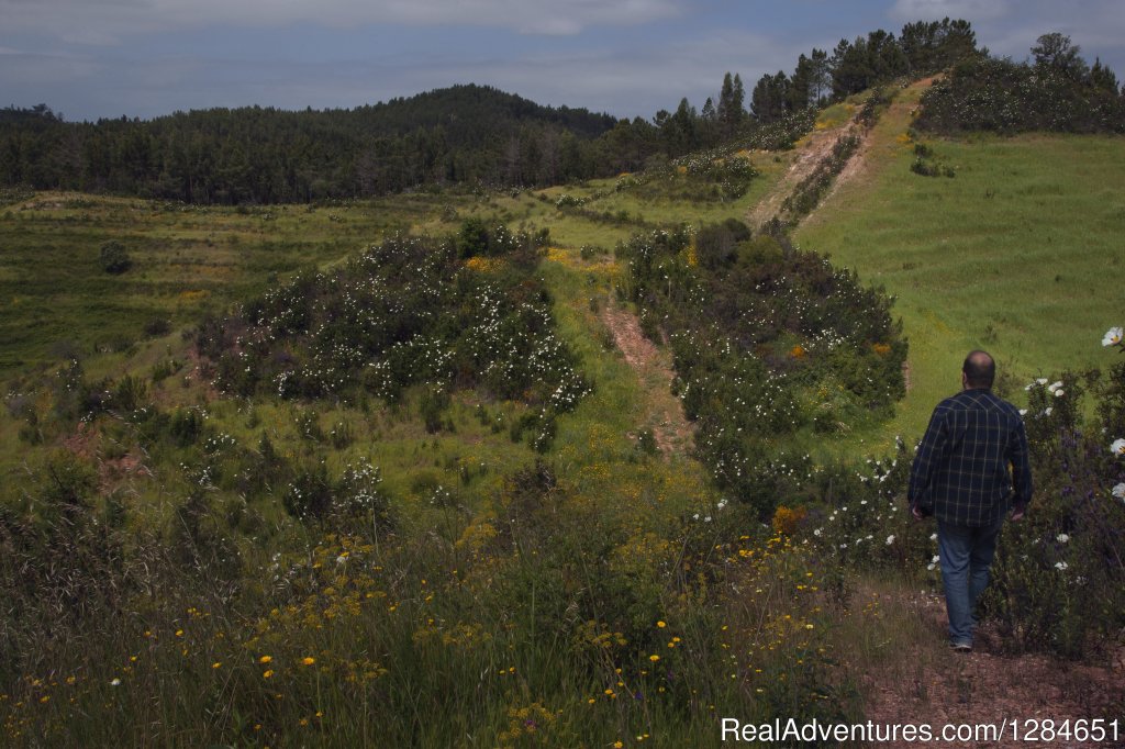 Hiking on The Wild South West Coast, Portugal | Image #6/16 | 