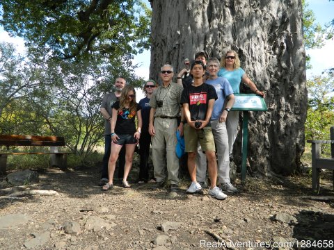 Happy travellers at the Baobab tree in Mopani Rest Camp