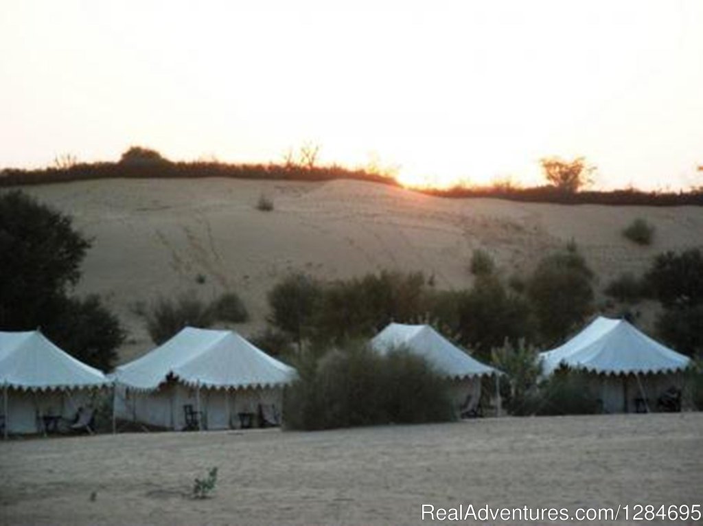 Camps | Pushkar Adventure Desert Camp | Image #6/7 | 