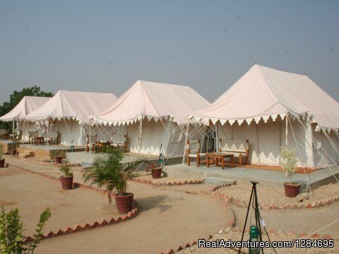 Camps | Pushkar Adventure Desert Camp | Image #7/7 | 