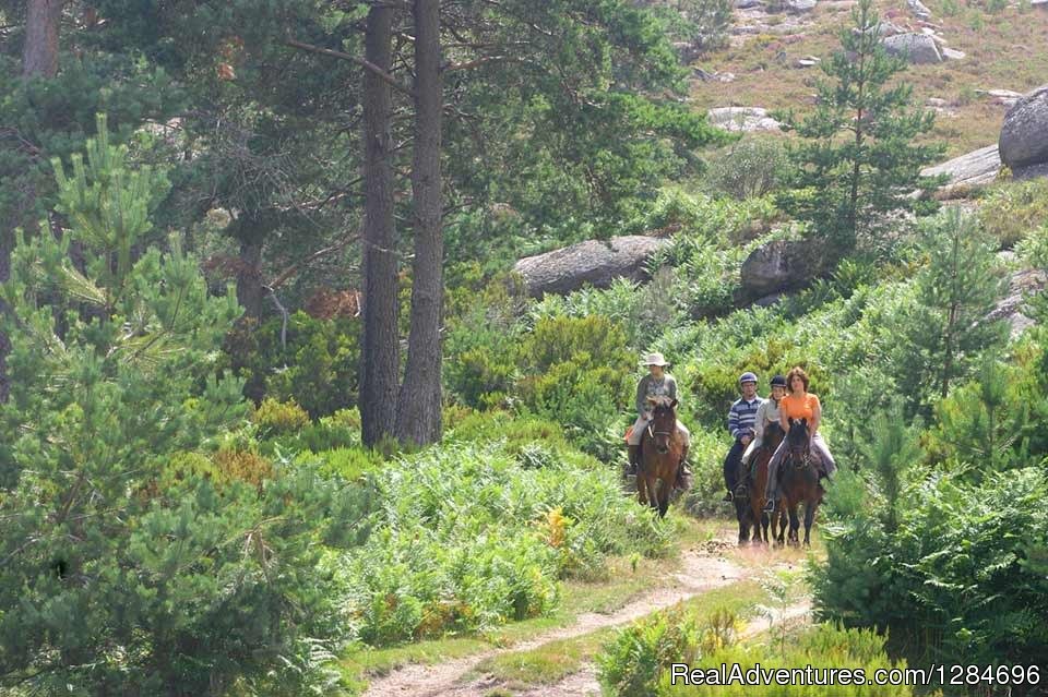 Horseback riding in Peneda Geres National Park | Image #5/18 | 