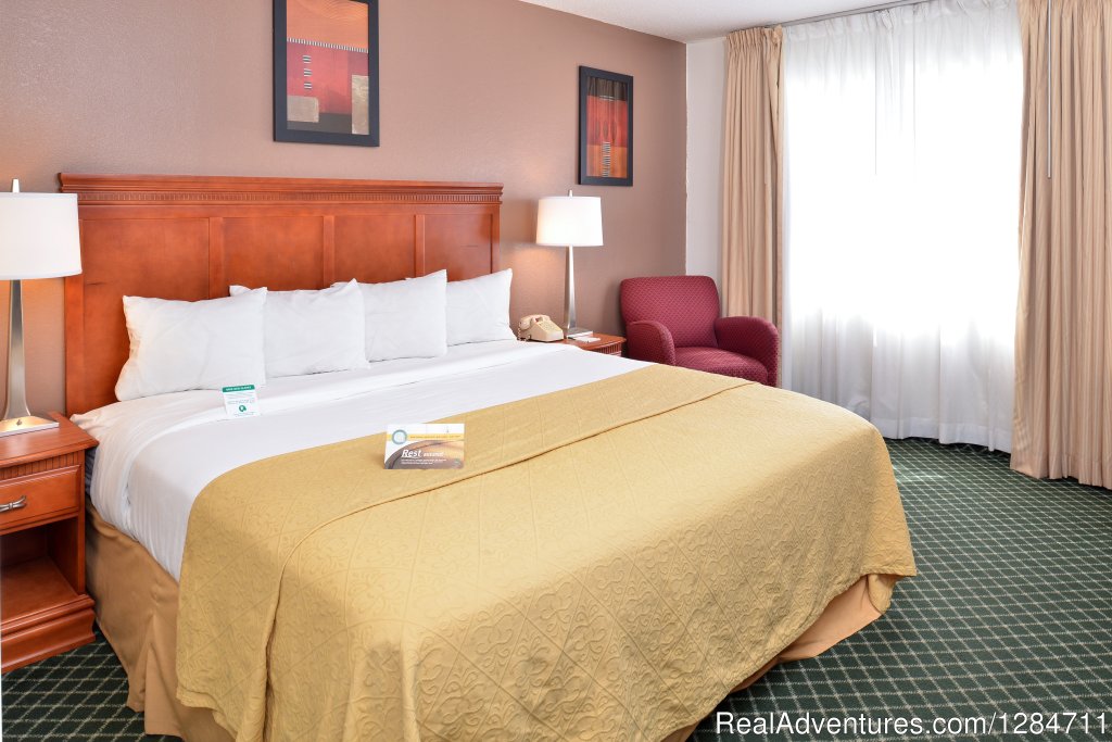 King Bed Accommodations | Pet Friendly Accommodations Quality Inn Colchester | Image #4/4 | 