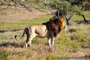 Wild Secret Safaris | Arusha, Tanzania | Wildlife & Safari Tours