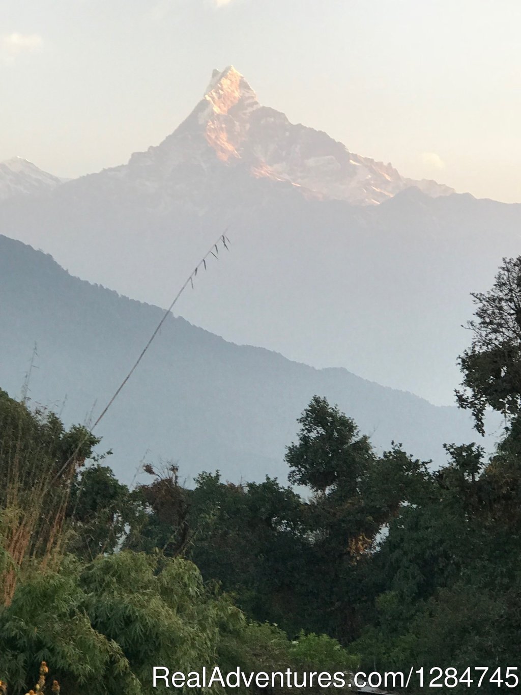Holy mountain Fishtail-Annapurna | Adventure Glacier Treks & Expedition | Image #4/11 | 
