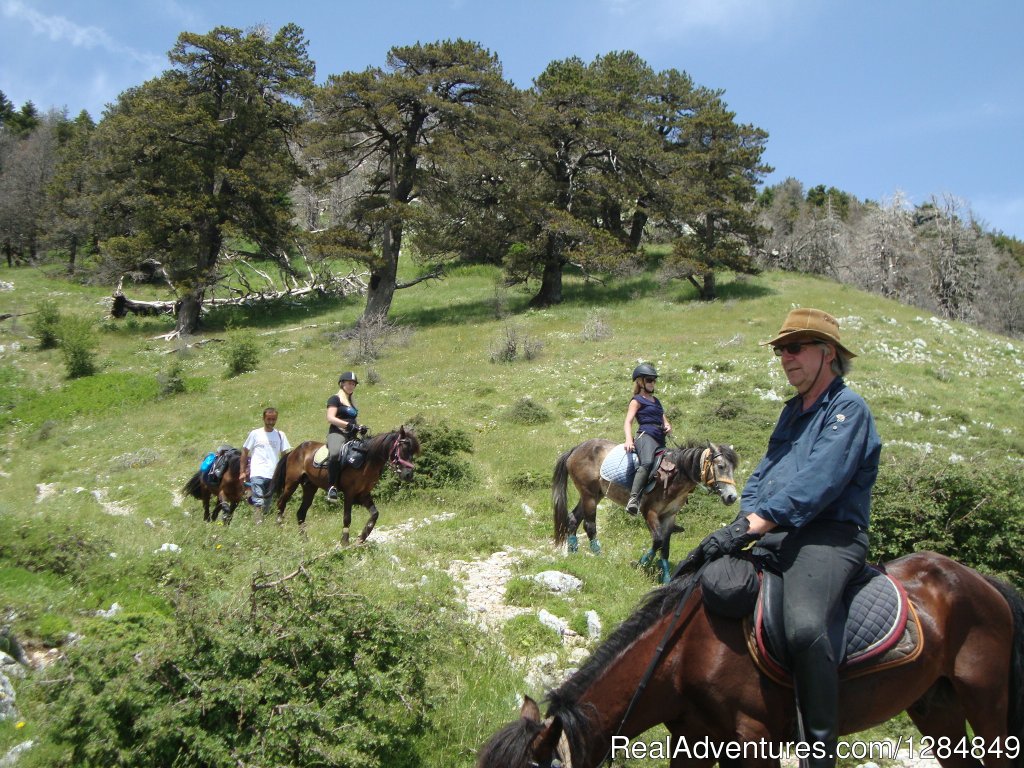 Pick of Wide Mountain | Albanian Cultural Horse Riding Trails | Image #3/5 | 