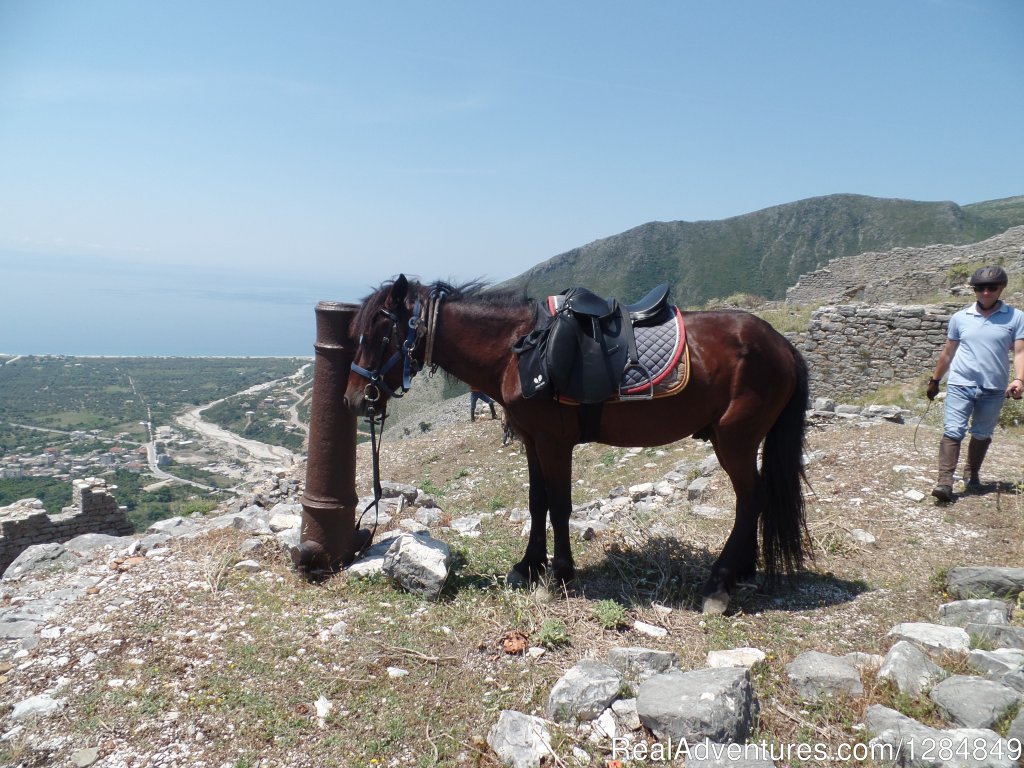 Borshi Castle | Albanian Cultural Horse Riding Trails | Image #5/5 | 