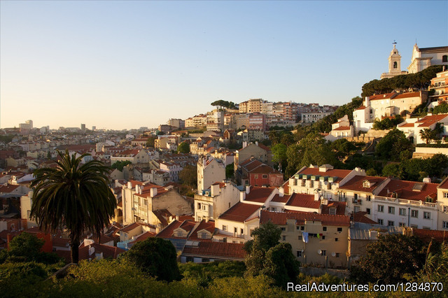 Lisbon: Full-Day Volunteer Tourism Experience Photo