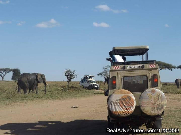 Open Africa Safaris | Image #8/20 | 