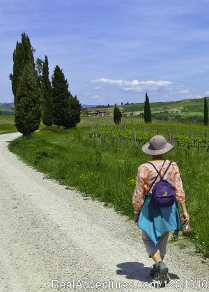 Tuscany Hilltop Towns Walking Tour May 8-15, 2016 | Siena, Italy | Hiking & Trekking