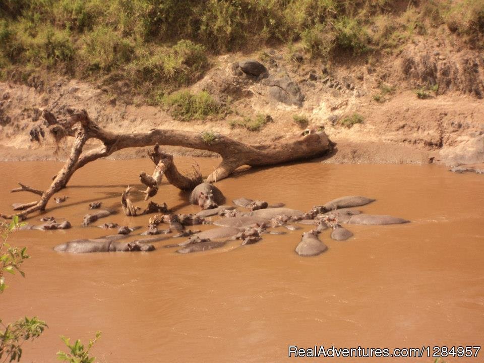 Maasai Mara River | 03 Days Maasai Mara Migration Safari from Kisumu | Image #2/7 | 