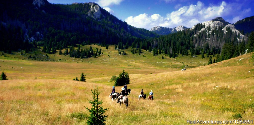 Premier Cowboy Trail Horseback Riding in Croatia | Gospic, Croatia | Hotels & Resorts | Image #1/26 | 