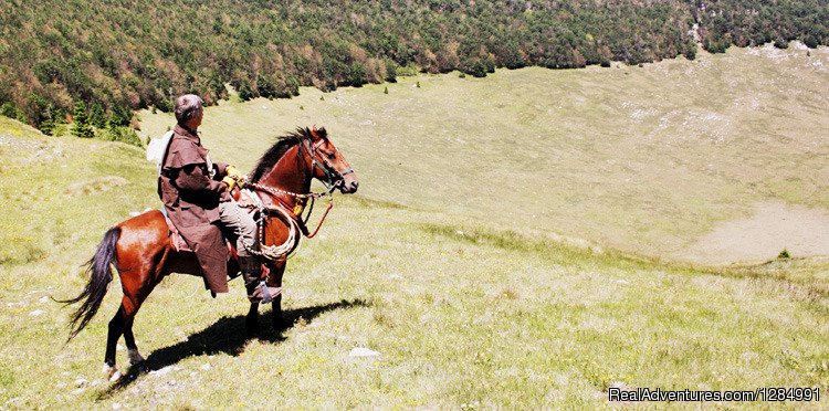 Premier Cowboy Trail Horseback Riding in Croatia | Image #4/26 | 
