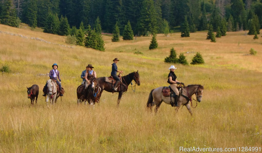 Premier Cowboy Trail Horseback Riding in Croatia | Image #2/26 | 