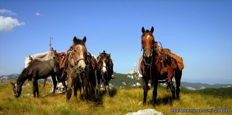 Premier Cowboy Trail Horseback Riding in Croatia | Image #3/26 | 
