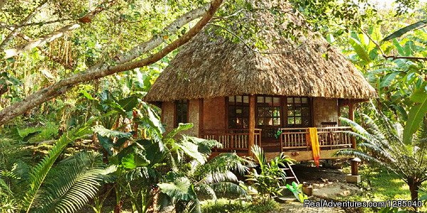 Eco Beach Resort with 18 thatched-roof cabins in the forest | A collection of inspirational boutique hotels | Image #19/26 | 
