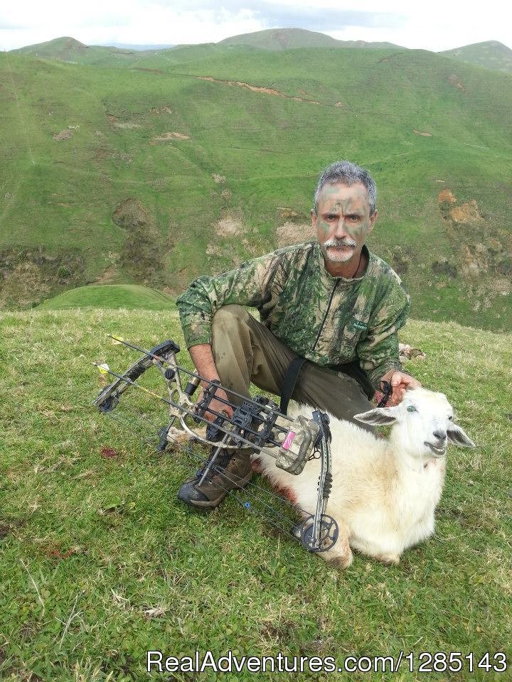 New Zealand Goat bow hunting - waikato bow hunter | 2 Days Bow Hunting Goats New Zealand | Raglan, New Zealand | Hunting Trips | Image #1/7 | 