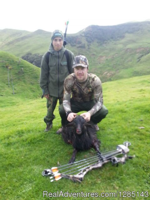 New Zealand Goat bow hunting - waikato bow hunter