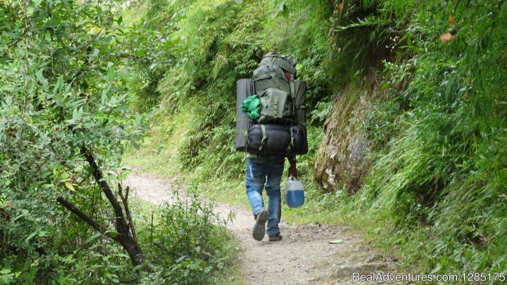 Trekker on hike | Adventure in Indian Himalayas | Image #6/16 | 