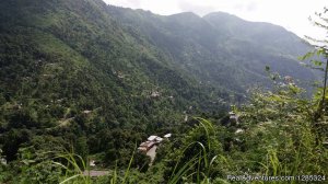 Tour & Travel Agency in Darjeeling & Sikkim | Siliguri, Dist. Darjeeling, West Bengal, India | Sight-Seeing Tours