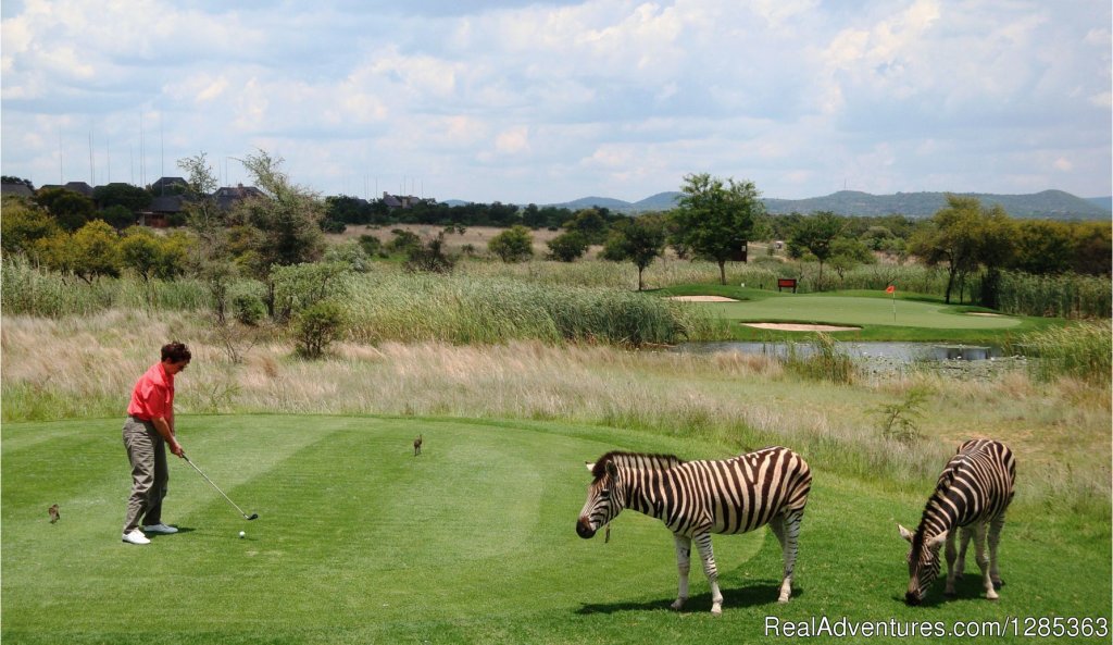 Rovos Rail Golf Adventure South Africa | Image #6/7 | 