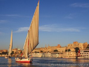 Best of Egypt holiday packages |  cairo, Egypt | Bed & Breakfasts