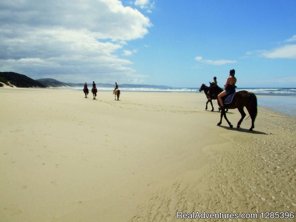 Beach Holidays on South African Wild Coast | Image #5/9 | 