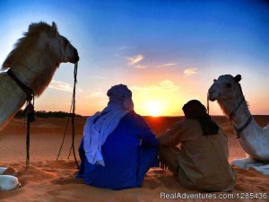 Magic Lamp Tours | Marrakesh, Morocco | Camel Riding