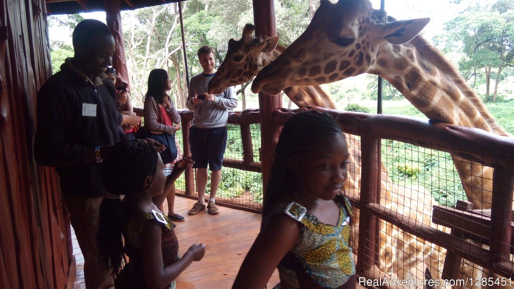 Giraffe Centre | Nairobi Excursions Tours | Nairobi, Kenya | Sight-Seeing Tours | Image #1/2 | 