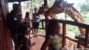 Nairobi Excursions Tours | Nairobi, Kenya | Sight-Seeing Tours