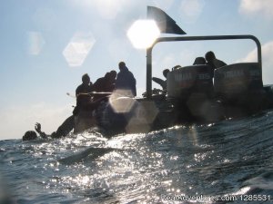 Conrad's Safaris And Tours | Scottsburgh, South Africa | Scuba Diving & Snorkeling