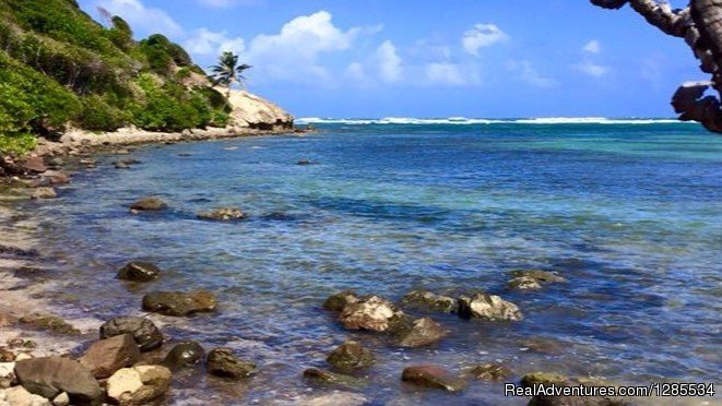Hiking with Melvin | A Peace of Paradise in Beautiful St. Lucia | Image #10/11 | 