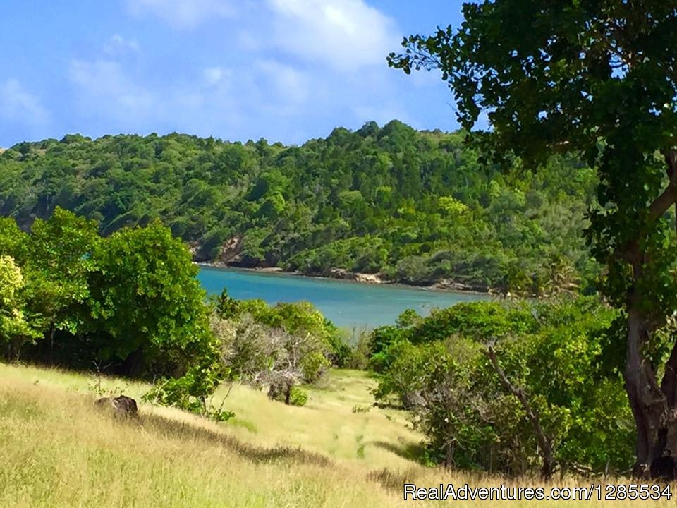 Hiking with Melvin | A Peace of Paradise in Beautiful St. Lucia | Image #11/11 | 