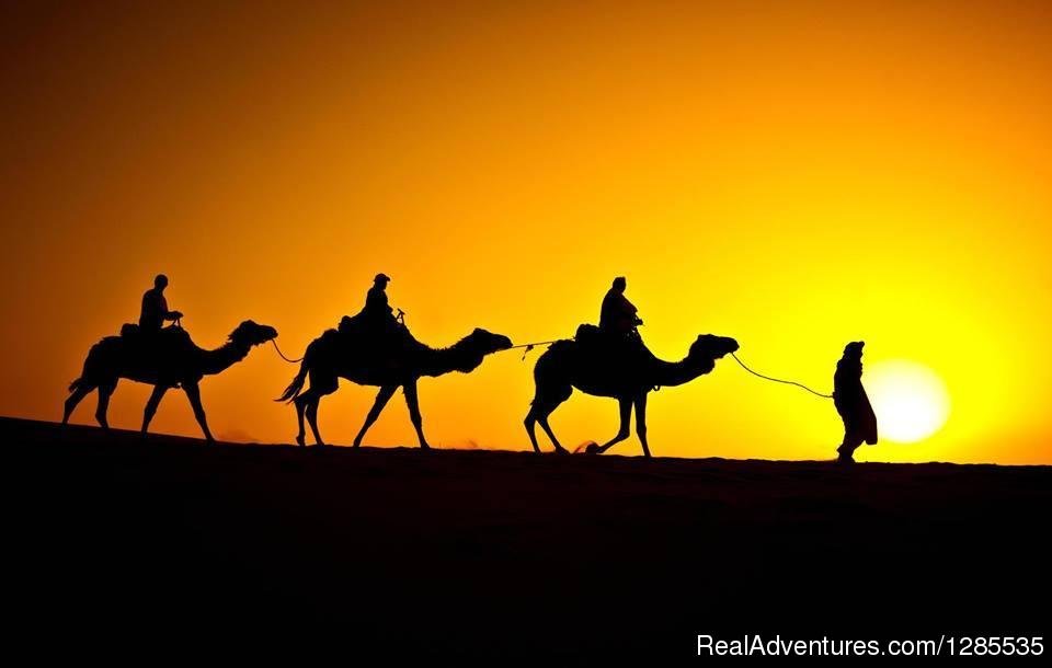Tours Morocco | Morocco Sahara Holiday & Tours | Casablanca and Fes, Morocco | Sight-Seeing Tours | Image #1/13 | 