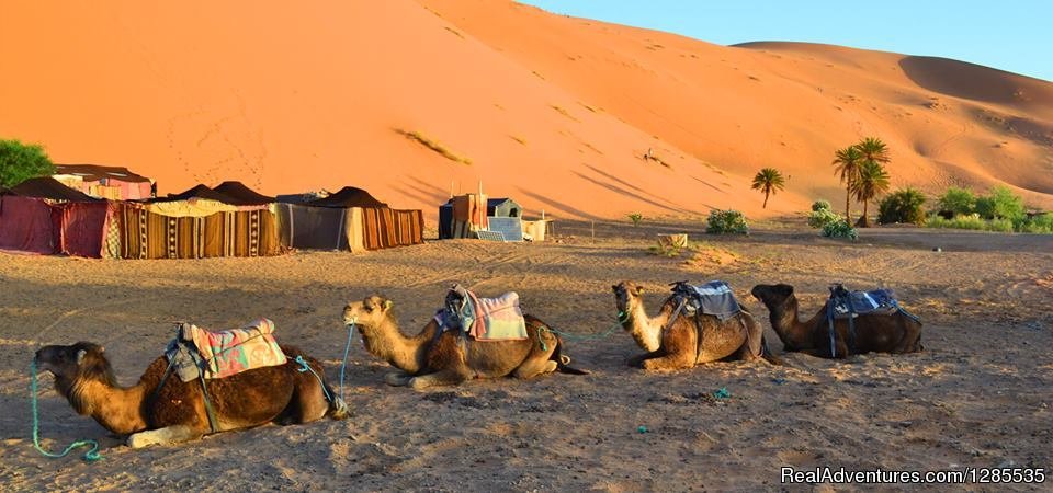 Marrakech Excursions | Morocco Sahara Holiday & Tours | Image #6/13 | 