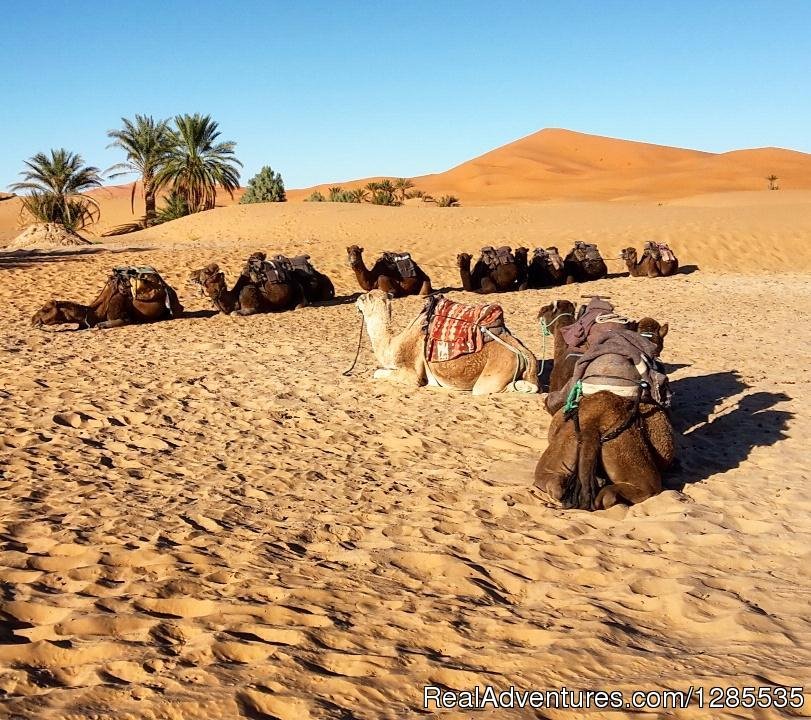 Desert Excursions | Morocco Sahara Holiday & Tours | Image #11/13 | 