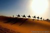 Trips in Morocco | Erg Chebbi Dunes, Merzouga, Sahara, Morocco