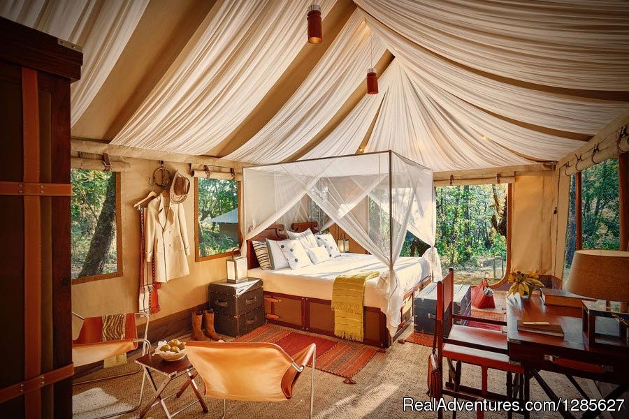 Luxury Camping at the Hornbill Festival, Nagaland | Image #4/4 | 