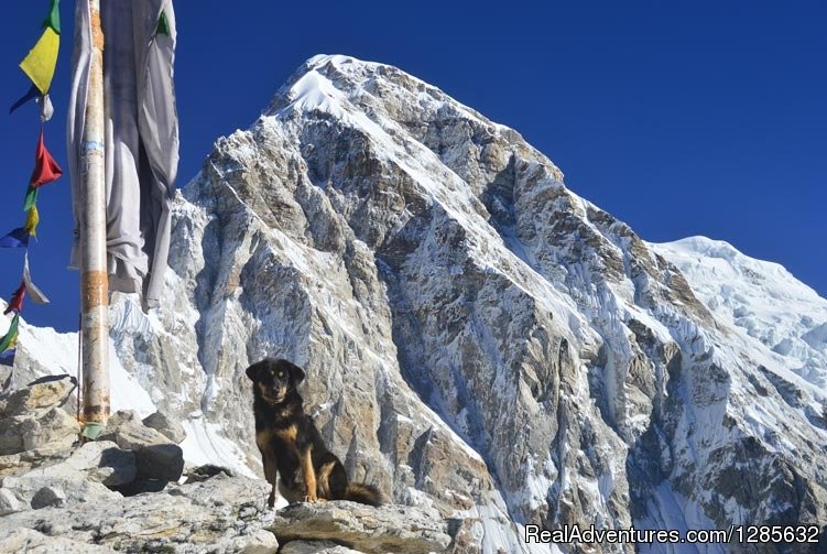 Everest Kalapathhar | Trekking in Nepal with Friends Adventure Team | Kathamndu, Nepal | Sight-Seeing Tours | Image #1/6 | 