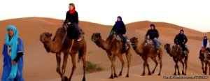 Thing to do in Marrakecht | Marakech, Morocco | Travelers Checks