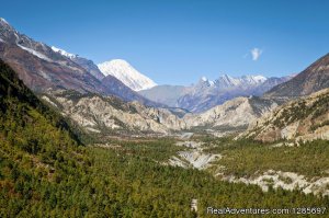 Annapurna base camp(ABC) trek | Kathmandu Nepal, Nepal | Hiking & Trekking
