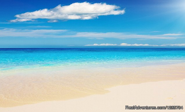 Best Vacation Rentals On Barbados | Image #12/18 | 