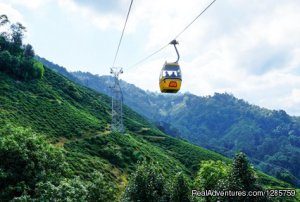 Mesmerizing Darjeeling with Gangtok Tour | Dehli, India Sight-Seeing Tours | Great Vacations & Exciting Destinations