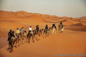 Morocco Travel Safari | Marrakesh, Morocco | Sight-Seeing Tours