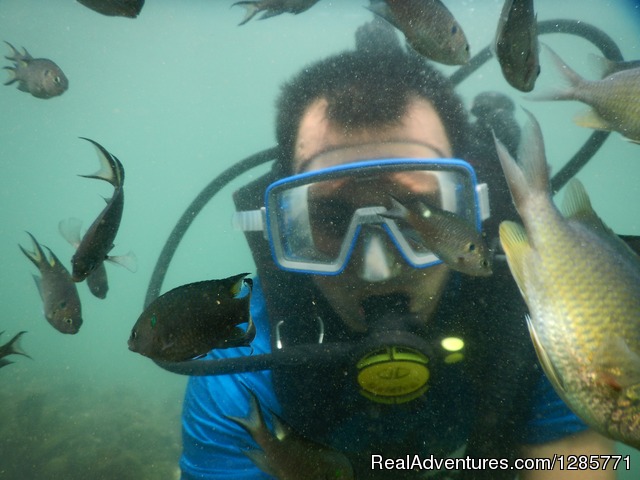 Scuba Diving At Goa Water World, Water Sports Photo