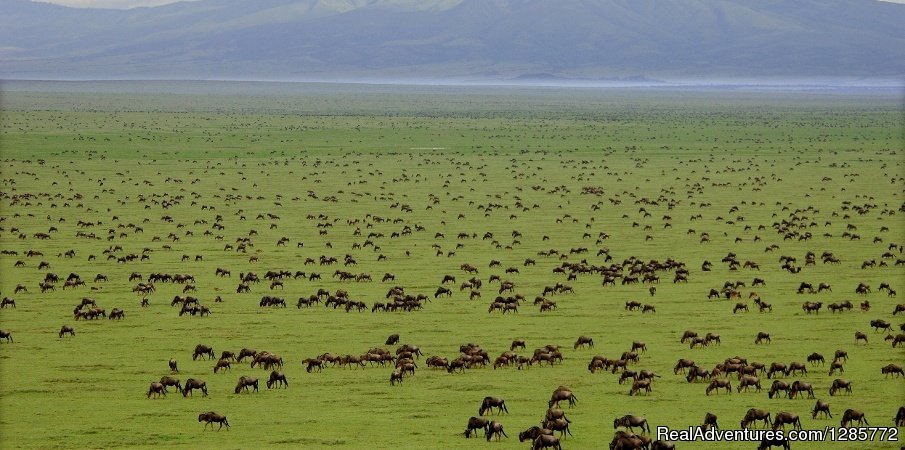 Aabikombi Tanzania Safaris | Image #12/13 | 