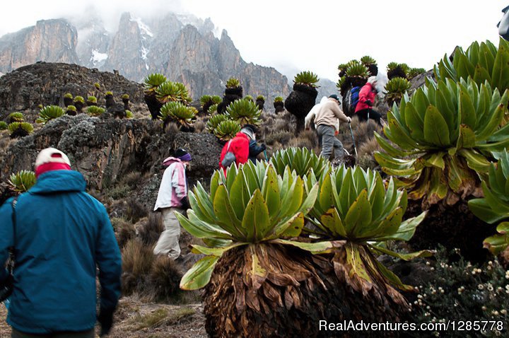 Mt Kenya Guides Training | Trekking and safaris in Africa | Central Highlands, Kenya | Hiking & Trekking | Image #1/2 | 
