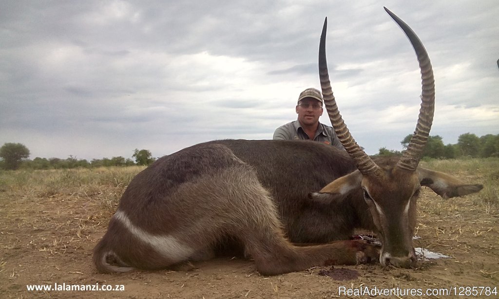 Hunt | African Bush hunting and safari | Image #18/26 | 