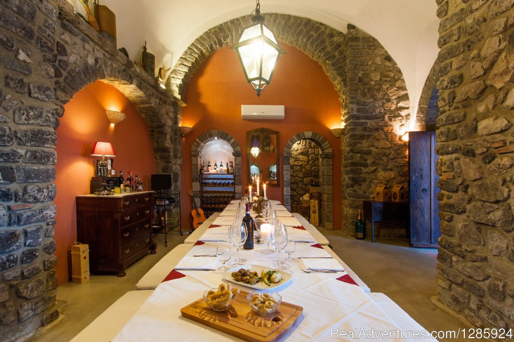 Old Cellar for Wine Tasting | Vacation, Food and Experiences | Image #2/5 | 
