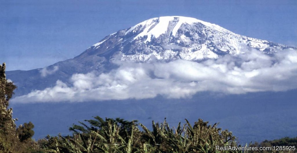 7days mt Kilimanjaro trek, (with hanta expedition) | Image #3/3 | 